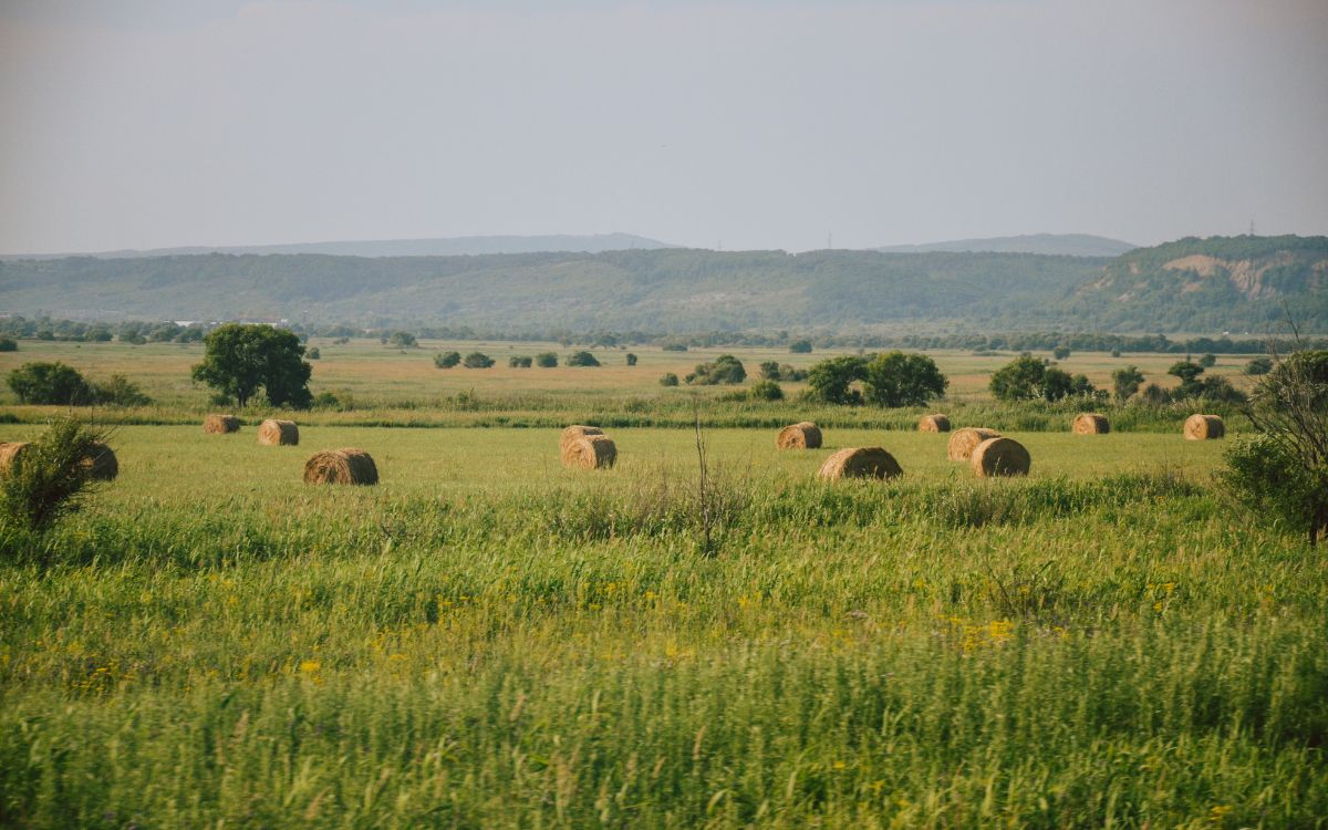 turismo rural Girona
